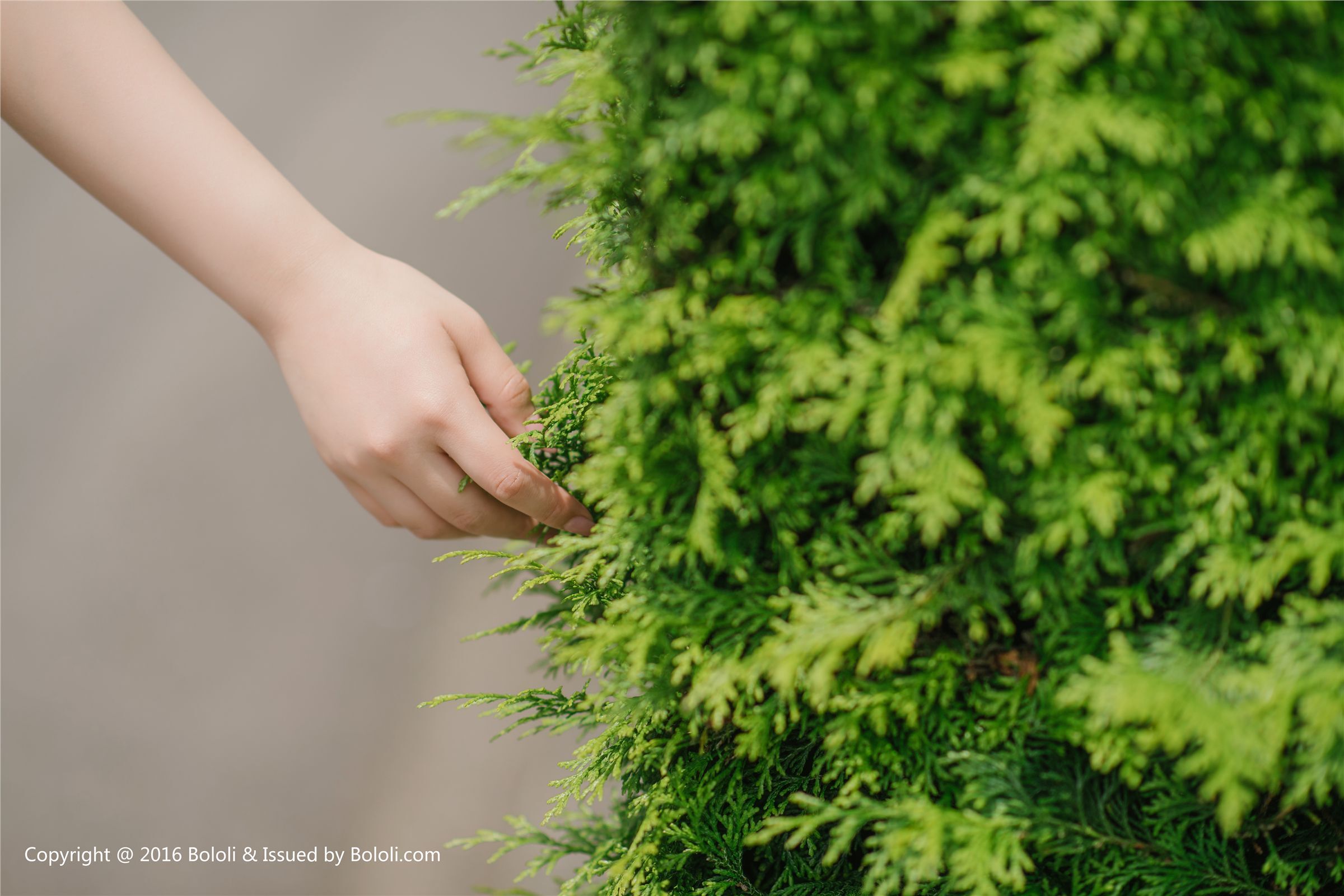 [BoLoLi波萝社]2017.08.05 Vol.097 柳侑绮